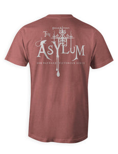 Custom Asylum Inmate TriBlend Premium Tee | Double Sided | Unisex