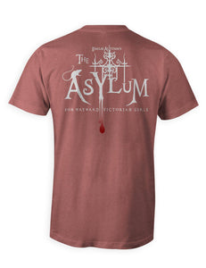 Custom Asylum Inmate TriBlend Premium Tee | Double Sided | Unisex
