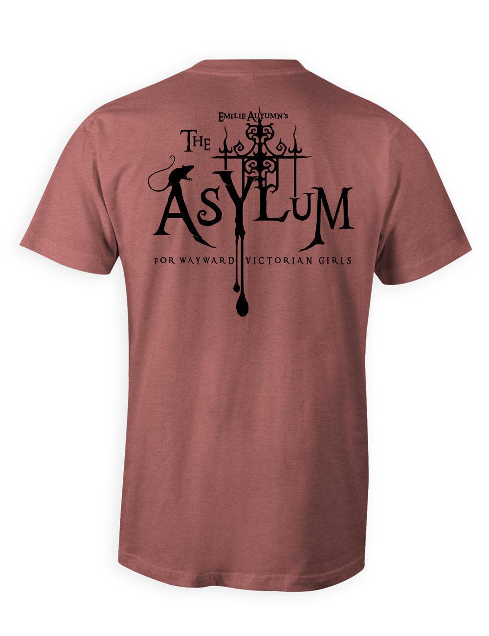 Custom Asylum Inmate TriBlend Premium Tee | Double Sided | Unisex