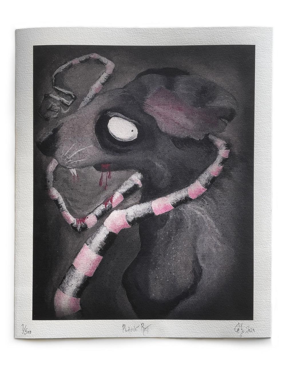 Plague Rat - Fine Art Giclee Print, Limited Edition of 500