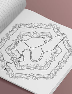 The Asylum Coloring Book