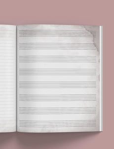 The Asylum Songwriter's Notebook